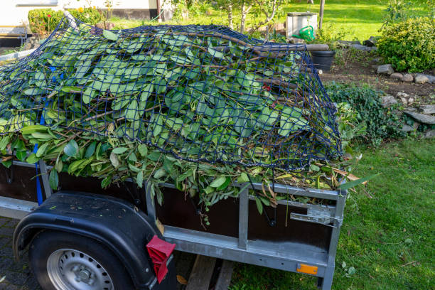 Best Mattress Disposal  in Farmer City, IL